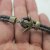 5 Antique Brass Anchor Bracelet Clasps & Slider Beads