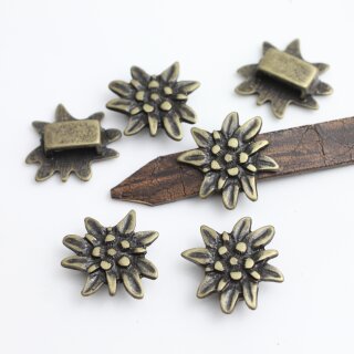 10 Antique Brass Edelweiss Alpen flower Slider Beads