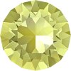 56 Jonquil