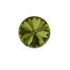 51 Olivine