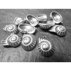 10 shell Pendants