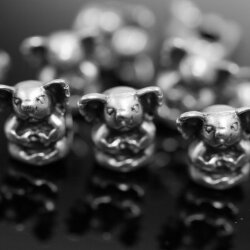 10 Koala Beads, Koala