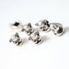 10 Koala Beads, Koala