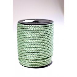 1 m Shiny Pastel Mint, braided Leather 4 mm