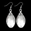 Oval drop Earrings