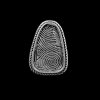 fingerprint Ring, 3,5x2,5 cm