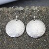 Circle Earrings, brushed