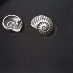 snail shell stud earrings