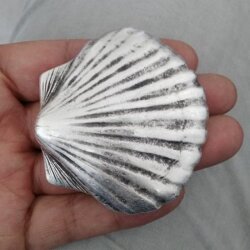 Muschel Gürtelschnalle, 7,0x6,5 cm, Altsilber