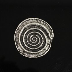Antique Silver Snail fossil Belt buckle