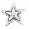 two stars Pendant