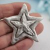 two stars Pendant