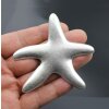 Starfish pendant,80 mm