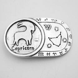 Zodiac Sign Capricorn, Star Sign, 9,3x5,5 cm