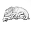 Chameleon Belt Buckle