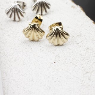 Shell Earrings, Seashell Stud Earrings, gold