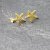 Starfish Stud Earrings, gold
