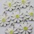 10 Enamel Daisy Charms, White Daisy Flower, Flower Charms, Daisy Pendant