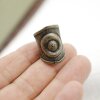 Antique Brass Evil Eye Ring