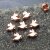 10 Tauben Perlen, Rosegold