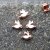10 Dove Beads, Rosegold