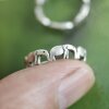 Elephant ring, animals ring