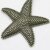 Starfish Pendant Antique brass
