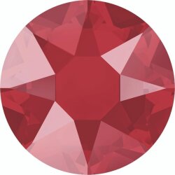 75 Dark Red Coral